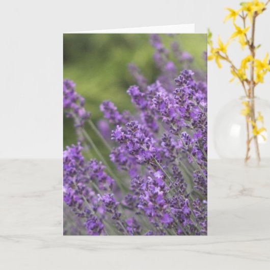 かわいらしいラベンダーは挨拶状の守備につきます カード (黄色い花)