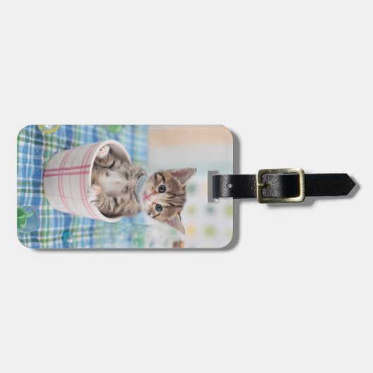 かわいらしいリボンを持つMunchkinの子ネコ ラゲッジタグ (正面横)