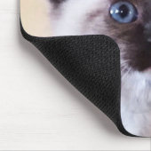 かわいらしい仮面の青い目のシャムちゃん子猫クローズアップ マウスパッド (コーナー)