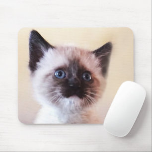 かわいらしい仮面の青い目のシャムちゃん子猫クローズアップ マウスパッド