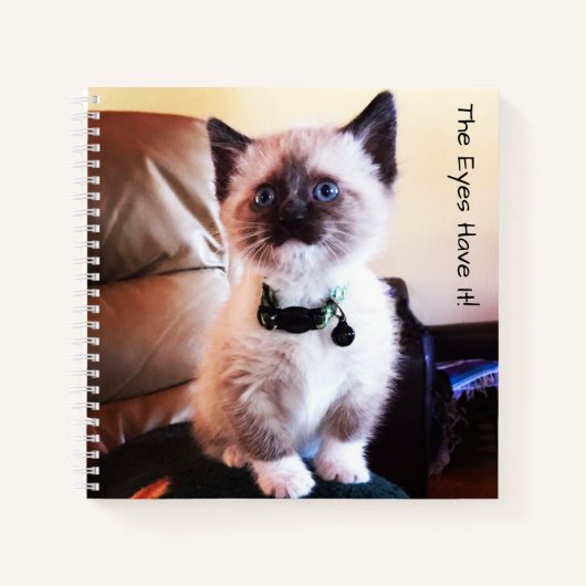 かわいらしい仮面の青い目のシャム猫の写真 ノートブック (正面)