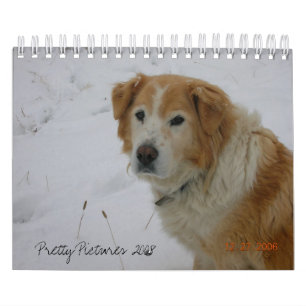 かわいらしい写真2008年 カレンダー