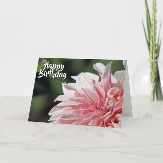 かわいらしい夏のダリアの挨拶状 カード (正面)