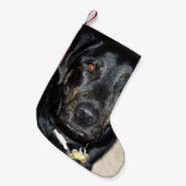 かわいらしい女の子のしぶき スモールクリスマスストッキング (正面 (吊り時))