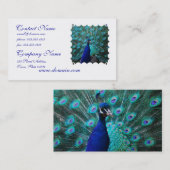 かわいらしい孔雀の名刺 名刺 (正面/裏面)