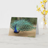 かわいらしい孔雀の挨拶状 カード (黄色い花)