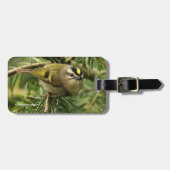 かわいらしい小さなキングレット、もみの中でかき混ぜる ラゲッジタグ (正面横)