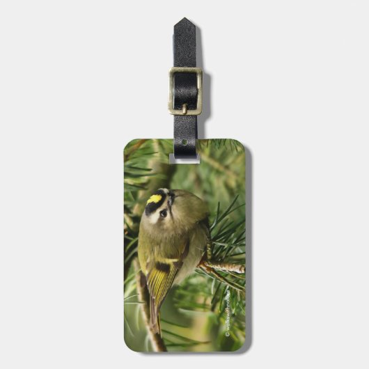 かわいらしい小さなキングレット、もみの中でかき混ぜる ラゲッジタグ (正面縦)