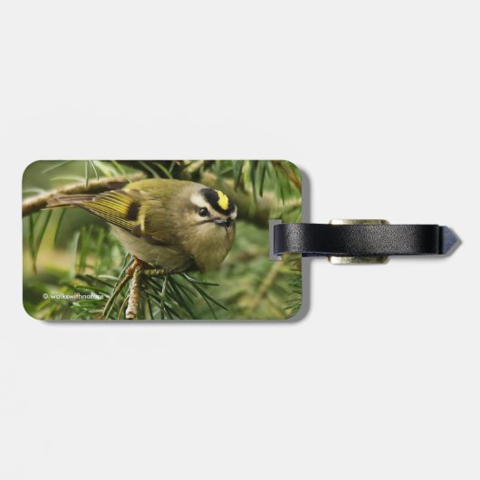 かわいらしい小さなキングレット、もみの中でかき混ぜる ラゲッジタグ (裏面横)