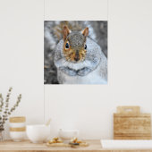 かわいらしい灰色リス ポスター (キッチン)