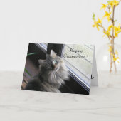 かわいらしい猫は幸せな卒業を言います カード (黄色い花)
