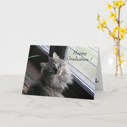 かわいらしい猫は幸せな卒業を言います カード (黄色い花)