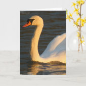 かわいらしい白鳥の挨拶状 カード (黄色い花)