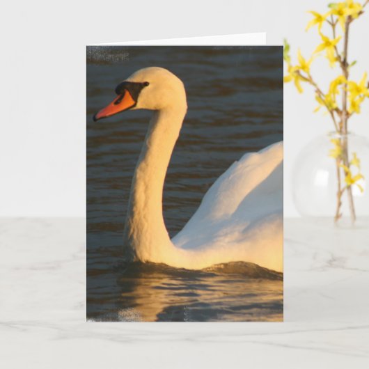 かわいらしい白鳥の挨拶状 カード (黄色い花)
