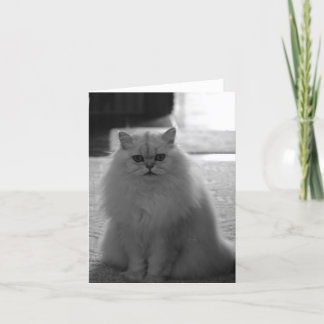 かわいらしい着席 カード