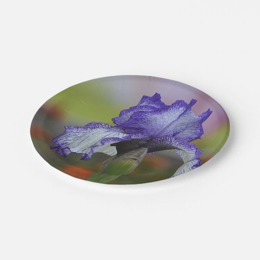 かわいらしい紫色のアイリス ペーパープレート (アングル)