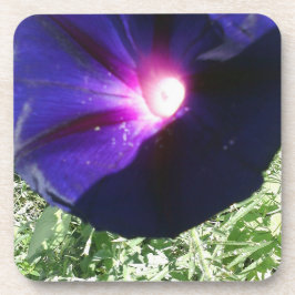 かわいらしい花柄 コースター