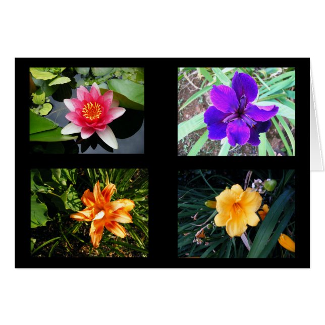 かわいらしい花、ブランク (正面横)