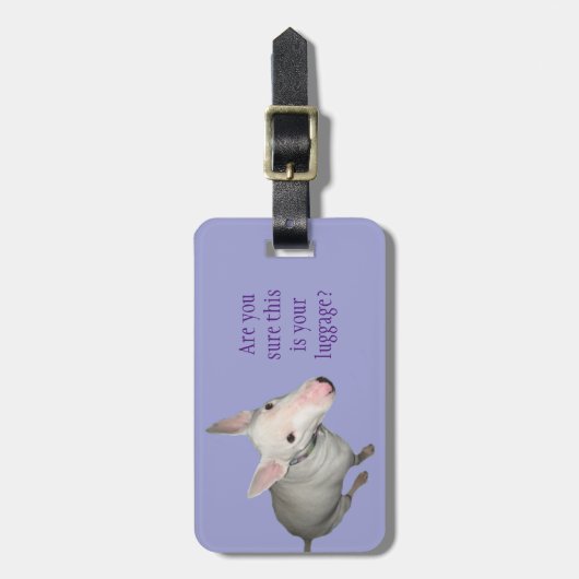 かわいらしい英国のブルテリアの着席 ラゲッジタグ (正面縦)