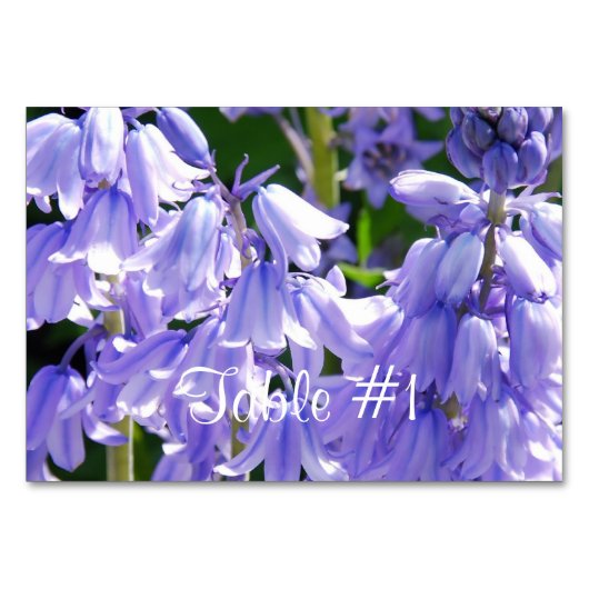 かわいらしい鐘花 テーブルナンバー (正面)