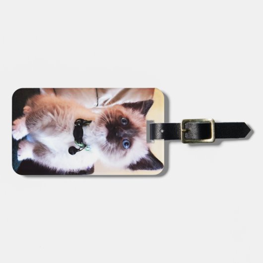 かわいらしい青い目のマスク付き子猫写真 ラゲッジタグ (正面横)