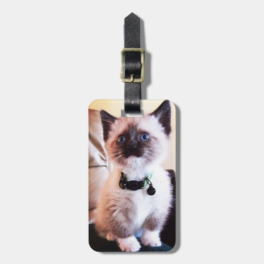 かわいらしい青い目のマスク付き子猫写真 ラゲッジタグ (正面縦)