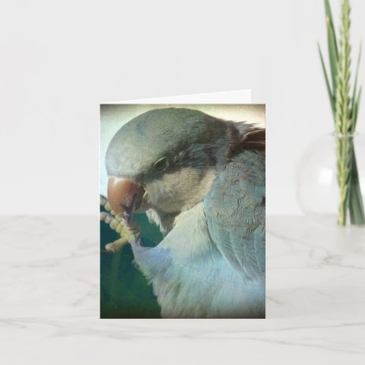 かわいらしい鳥、誕生日 カード (正面)