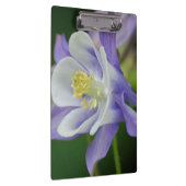 かわいらしい鳩の花 クリップボード (右)