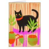 かわいらしい黒猫 (正面)