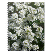 かわいらしく白い春の花の写真の螺線形ノート ノートブック (正面)