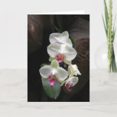 かわいらしく白い蘭の悔やみや弔慰はまたは感謝していしています カード (正面)