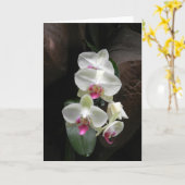 かわいらしく白い蘭の悔やみや弔慰はまたは感謝していしています カード (黄色い花)