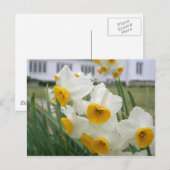 かわいらしと純粋 ポストカード (正面/裏面)