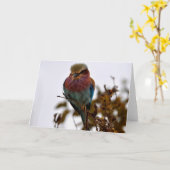 かわいらしと誇りを持った カード (黄色い花)