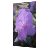 かわいらしエレガント春紫のツツジの花。 クリップボード (左)