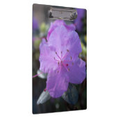 かわいらしエレガント春紫のツツジの花。 クリップボード (右)