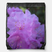 かわいらしエレガント春紫のツツジの花。