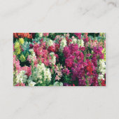 かわいらしカラフルの花 名刺 (裏面)