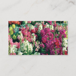かわいらしカラフルの花 名刺