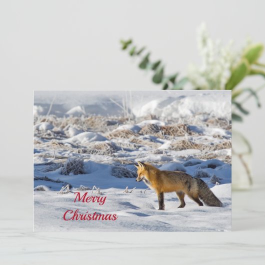 かわいらしキツネスノーフォトクリスマスフラット シーズンカード (スタンド正面)