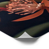 かわいらしクリエイティブカラフルバタフライイラストレーション ポスター (角)