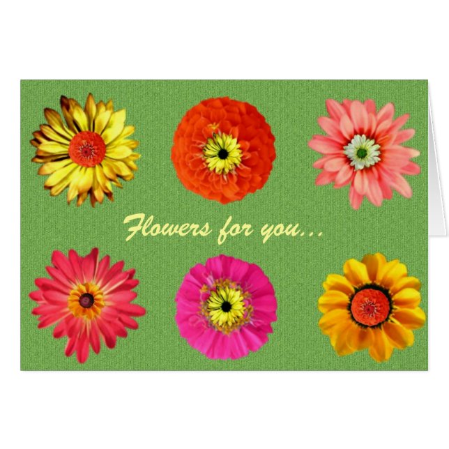 かわいらしデイジー (正面横)