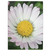 かわいらしデイジー クリップボード (裏面)