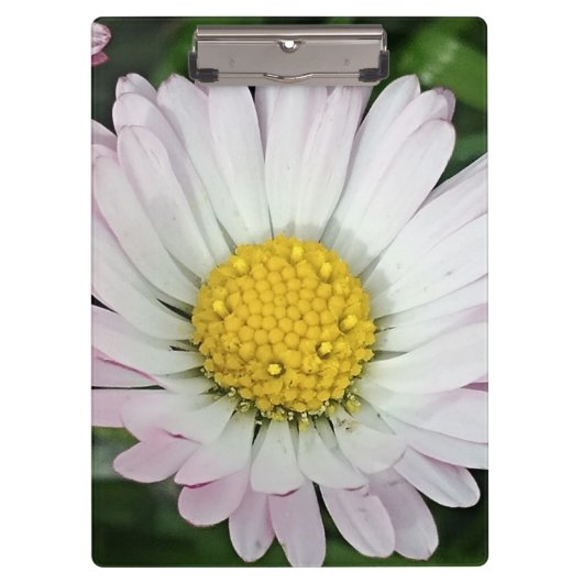かわいらしデイジー クリップボード (正面)
