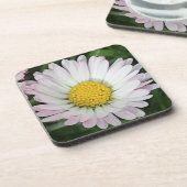 かわいらしデイジー コースター (左側)