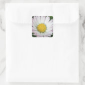 かわいらしデイジー スクエアシール (バッグ)