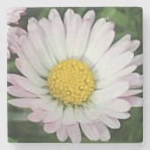かわいらしデイジー ストーンコースター (正面)