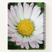 かわいらしデイジー ノートブック (裏面)