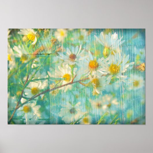 かわいらしデイジー ポスター (正面)