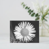 かわいらしデイジー ポストカード (スタンド正面)